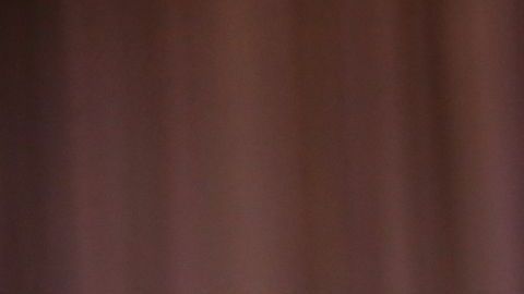 "Canelo" Álvarez se retiraría a los 37 años.