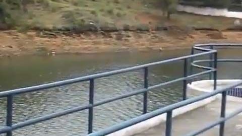 La presa Mata de Pino ubica en el municipio de Ciudad Hidalgo.