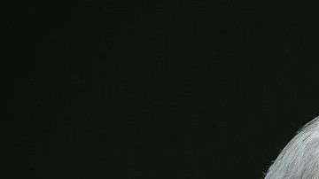 Rex Tillerson, fue CEO de Exxon y Secretario de Estado