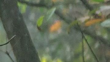 robert-collins-tvc5imO5pXk-unsplash