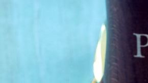 Rica receta alta en fibra y proteínas, es perfecta para fomentar una pérdida de peso de manera natural.