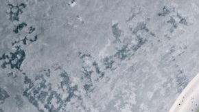 shutterstock_1016707804