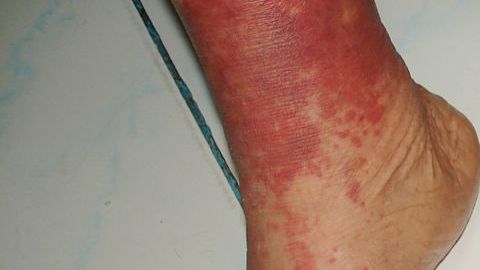 shutterstock_1024350280