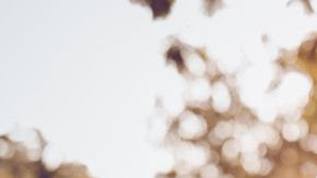 shutterstock_1064766149