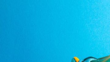 shutterstock_1163361445