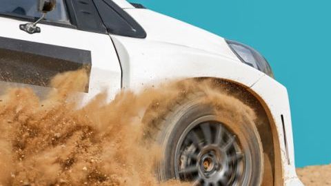 shutterstock_1233863956