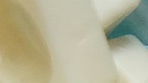 shutterstock_1234804132