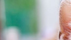 shutterstock_1235997691