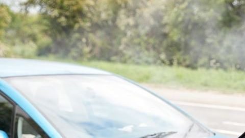 shutterstock_1426529438