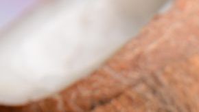 shutterstock_219001327