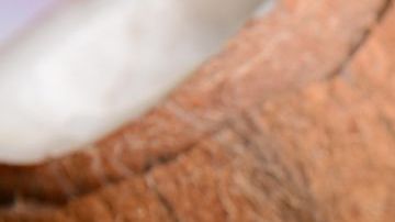 shutterstock_219001327