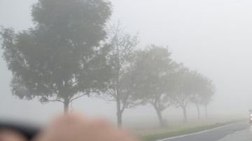 shutterstock_222970330