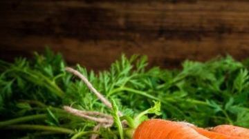 shutterstock_250834906