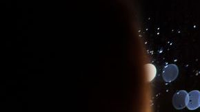 shutterstock_260890553