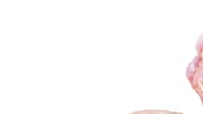 El pollo se distribuyó en varias tiendas, como Aldi.