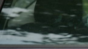 shutterstock_3103905