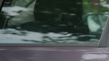 shutterstock_3103905