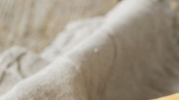 Los quesos aportan propiedades nutricionales similares a la leche con la que se elaboran, destacan por ser una proteína de alto valor biológico y su alto contendido en calcio y fósforo.