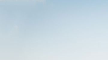 El hombre no se encontraba en sus 5 sentidos.