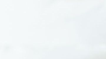 shutterstock_494862394