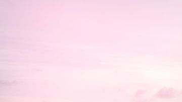 shutterstock_540646219