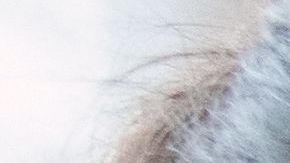 shutterstock_558383779