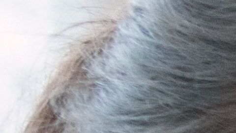 shutterstock_558383779