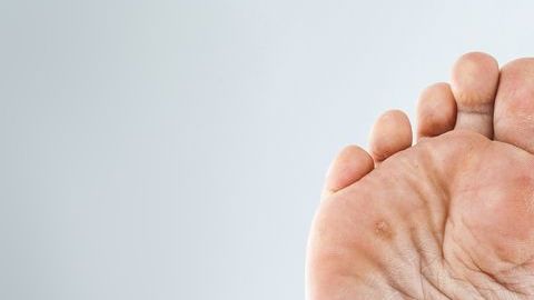 shutterstock_584334274