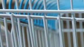 shutterstock_616099673