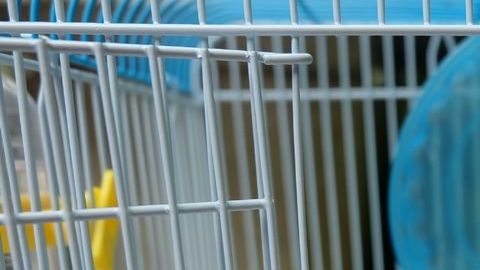 shutterstock_616099673