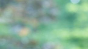 shutterstock_671185213