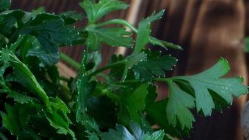 Complementario a los remedios naturales es indispensable seguir una alimentación balanceada, evitar el cigarro y tomar mucha agua.