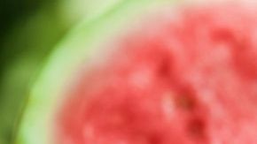 shutterstock_735185545