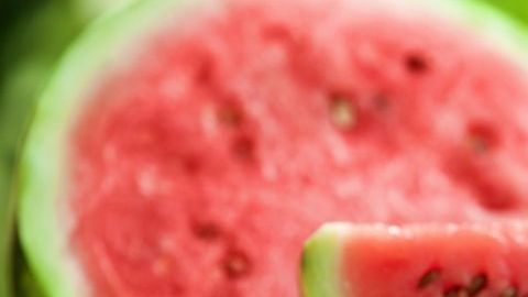 shutterstock_735185545