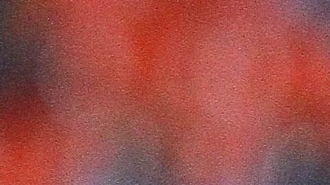 Al parecer, solo un milagro mantendría a Robert Dante Siboldi en el banquillo del Cruz Azul.