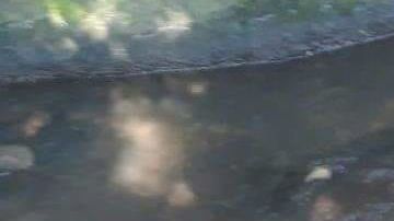 Sicarios del narco la matan y la dejan semidesnuda cerca de canal de aguas negras