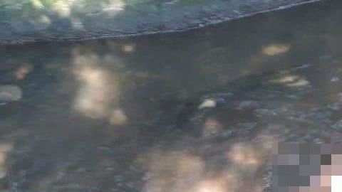 Sicarios del narco la matan y la dejan semidesnuda cerca de canal de aguas negras