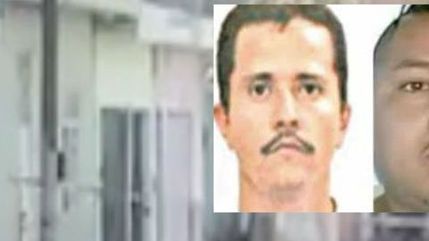 Sicarios matan a familia y hasta al perro, en medio de batalla de El Mencho y El Marro