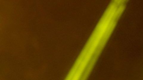 NEW ORLEANS, LA - JULY 06:  Snoop Dogg performs onstage during the 2018 Essence Festival presented By Coca-Cola - Day 1 at Louisiana Superdome on July 6, 2018 in New Orleans, Louisiana.  (Photo by Bennett Raglin/Getty Images for Essence)