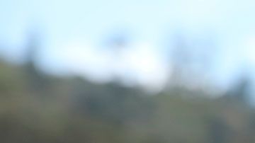 Además, también podrás apostar dinero al jugador que tú creas que se robará una base primero.