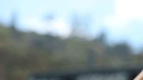 Además, también podrás apostar dinero al jugador que tú creas que se robará una base primero.