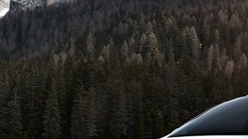 El conductor instaló un dispositivo para engañar el sistema de seguridad de Tesla