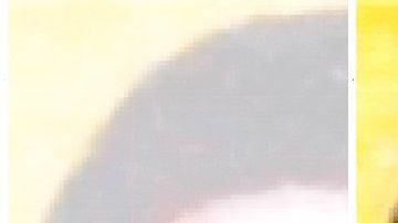 Vicente Carrillo Fuentes es acusado de liderar el Cártel de Juárez.