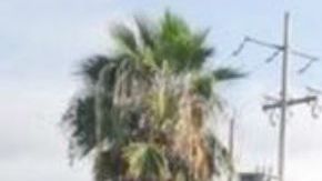 VIDEO: Cártel del Noreste se atrinchera en edificio de gobierno para enfrentar a soldados