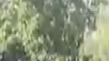 VIDEO Decenas de sicarios del CJNG así buscan a Los Viagras