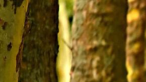 Conoce la lista de nutrientes indispensables que mejoran de manera eficaz la fertilidad masculina. ¡Es muy fácil integrarlos en la dieta!.