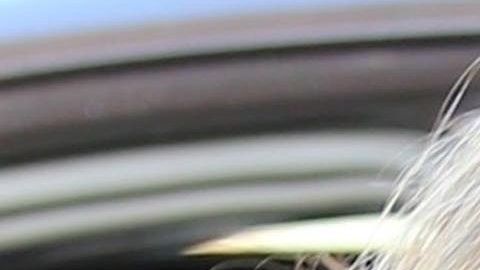 Shakira en Barcelona.