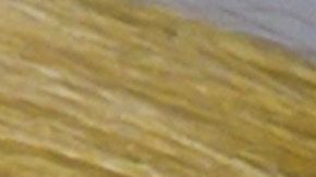 Nikki Haley cree que no lo hicieron por desafiar al presidente.