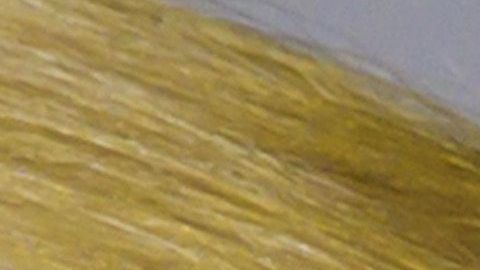 Nikki Haley cree que no lo hicieron por desafiar al presidente.