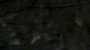 La foto le costó el anterior puesto de trabajo a Briskman.